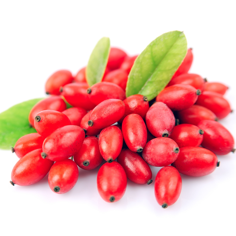 Liposomales Berberin Extrakt